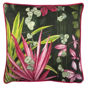 Paoletti Veadeiros Botanical Feather Rich Cushion