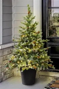 The 3ft Pre-Lit Cairngorm Pine Potted Christmas Tree (Indoor/Outdoor) Christmas Tree World