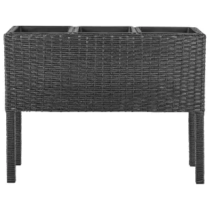 Elevated Plant Pot CARAGANA PE Rattan Black