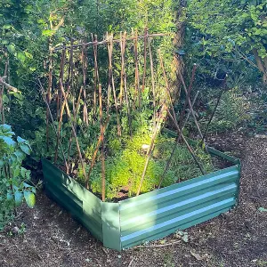 Metal Raised Vegetable Bed in Green (100cm x 30cm) with Cover