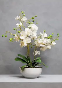 Fiori White Orchid Plant Artificial Plant Foliage