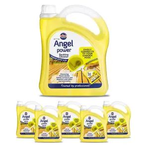 Nilco Angel Power 12L Garden Decking Cleaner Cleansing & Foam Gun Sprayer 6x 2L