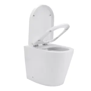 White Back to Wall Toilet Set Wall Mounted Elongated Toilet without Flush