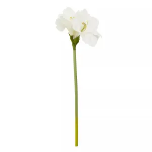 Fiori 72cm Amarylilis Stem Ivory Flower Artificial Plant Foliage