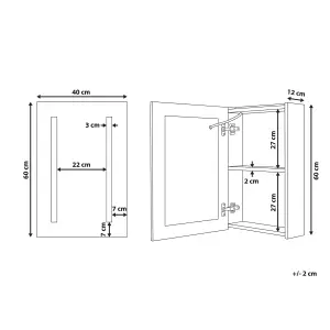 Bathroom Wall Mounted Mirror Cabinet with LED 40 x 60 cm Black CAMERON