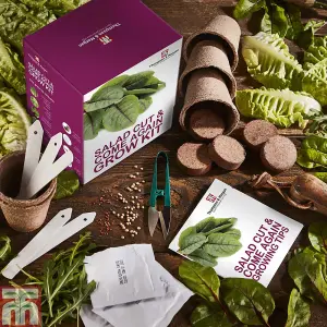 Seed Grow Kit Cut & Come Again Salad Leaves - Ideal Gift