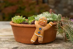 Pot Buddies Christmas Gingerbread Man Plant Pot Hanger