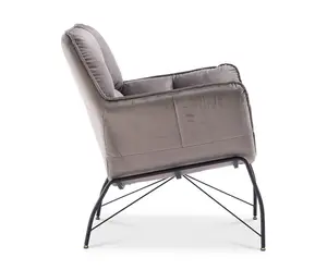 Velvet Light Grey Eliana Accent Chair