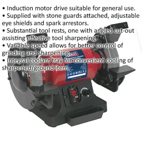 150mm Variable Speed Bench Grinder with 250W Motor and Dual Stones for Precision Grinding