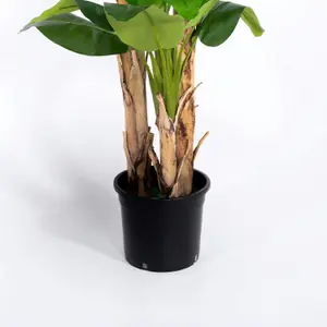 Blooming Artificial - 240cm / 7.75ft Faux Musa Banana Tree