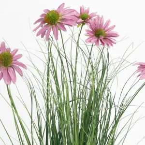 Blooming Artificial - 60cm / 2ft Purple Faux Rudbeckia Flowering Grass