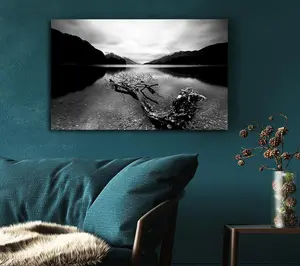 Tree In The Lake B N W Canvas Print Wall Art - Medium 20 x 32 Inches