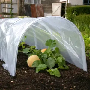 1.5m Poly Tunnel Cloche Mini Greenhouse