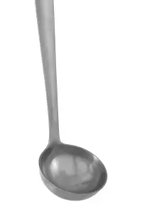 Maison by Premier Hera Brushed Finish Ladle