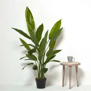 Homescapes Heliconia Plant in Pot, 140 cm Tall