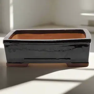 31cm Glazed Bonsai Pot - Rectangle - 31cm x 25cm x 10cm - Black