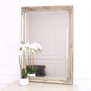 Andrews Flat Wall Mirror Champagne / 50cm x 60cm W