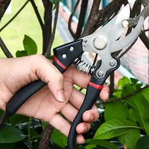 Strong Garden Secateurs Professional Tree Pruner SK-5 Titanium Pruning Scissors