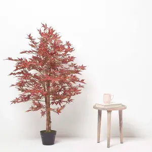 Homescapes Acer Tree in Pot, 120 cm Tall