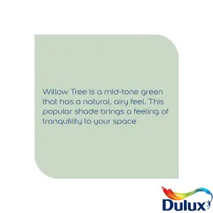 Dulux Easycare Willow Tree Matt Wall paint, 5L