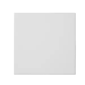 Leccia White Gloss Ceramic Indoor Wall Tile Sample