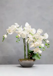 Fiori White Orchid Plant in Round Pot Artificial Plant Foliage