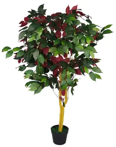 120cm (4ft) Artificial Capensia Tree Ficus Plant - Extra Large