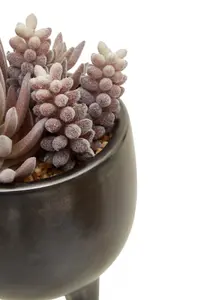 Fiori Mixed Succulents In Ceramic Pot Artificial Plant Foliage