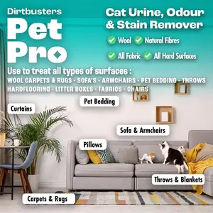 Dirtbusters Pet Pro Cat Stain & Pet Odour Eliminator Spray (500ml)