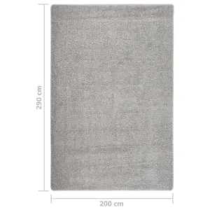 Shaggy Rug Light Grey 200x290 cm Anti Slip