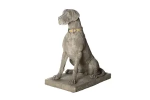 Giant Life-size Hunting Dog Great Dane Statue - classic finish