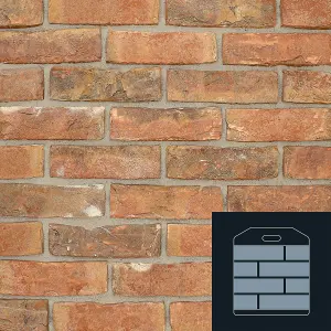 The Brick Tile Company Brick Slip Sample Panel - Red - Blend 20