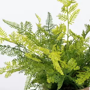 Blooming Artificial - 27cm / 1ft Faux Forest Fern