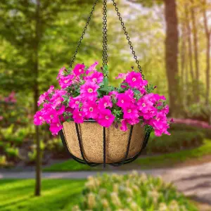 Panacea Forge Black Round Wire Hanging basket, 35cm