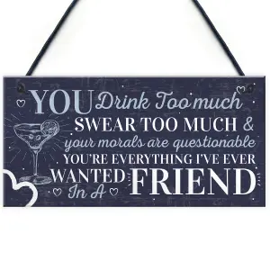 Red Ocean Funny Best Friend Friendship Sign Drink Too Much Gin Vodka Birthday Gift Plaque