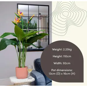 Blooming Artificial - 110cm Green / Orange Fake Bird of Paradise Flowering Plant