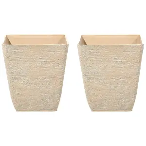 Set of 2 Plant Pots 39 x 39 x 43 cm Beige DELOS