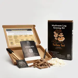 Turkey Tail Mushroom Log Growing Kit's - Gift Option