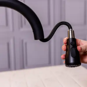 Flode Runda Kitchen Sink Mixer with Pull out Spray Matt Black Oval Head