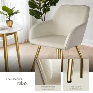 Chair Marilyn - with armrests, padded, velvet look, golden steel legs - cream/gold