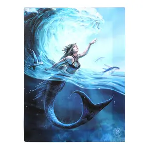 Anne Stokes Water Elemental Sorceress Canvas Plaque Blue (One Size)