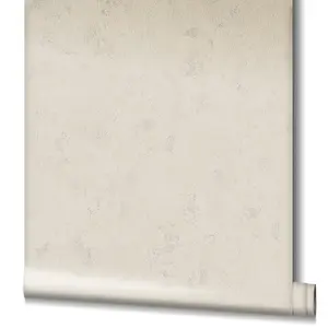 Galerie Earth Collection Cream Textured Arid Concrete Wallpaper Roll