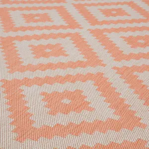 Ecology Collection Outdoor Rugs in Orange  100OR