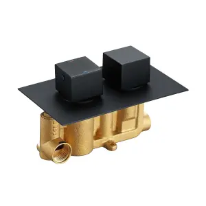 Zoia Black Single Outlet Square Concealed Shower Valve