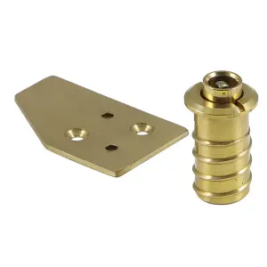 Sash Window Vent Lock with Strike Plate - Polished Brass