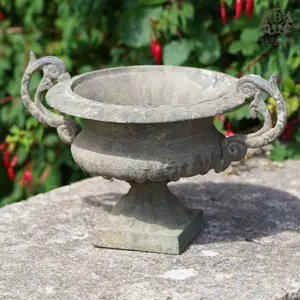 Cast Iron Urn with Handles French Vintage Ornament Antique Planter Home Garden