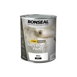 Ronseal Problem wall White Matt Anti-mould paint, 0.75L