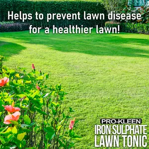 Pro-Kleen Lawn Tonic Liquid Iron Sulphate Quality Ferrous Conditioner Fertiliser Grass Greener Turf Hardener 20L