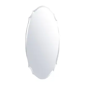 Robbyn Oval Glass Framed Wall Mounted Bathroom Mirror in Silver