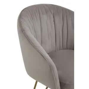 Interiors by Premier Mink Velvet Dinner Chair , Easy to Care Armrest Accent Dining Chair, Easily Adjustable Indoor Chair